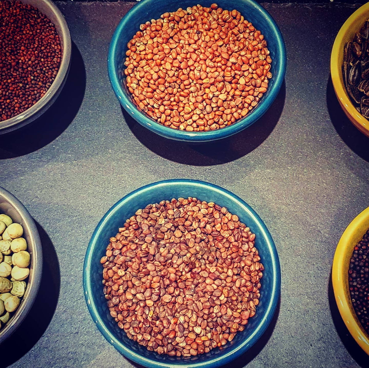 Assorted microgreen seeds in colourful bowls on a dark surface