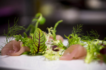 Close-up of a gourmet dish with microgreens and salmon on a white plate.