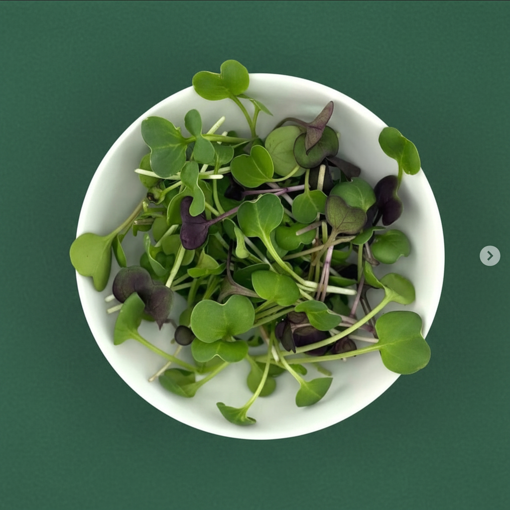 Bowl of green microgreens on a green background