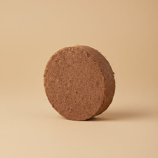 coco coir disc on a tan background