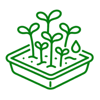Grow