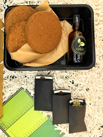 Black grow tray with coir blocks and a bottle labelled 'titbit' on a textured surface.
